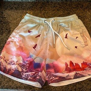 YoungLA Mens Small The Block Party Mesh Shorts Mountains Bird Print